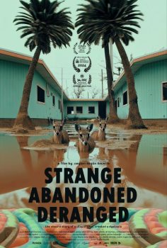 Hiçbir Şey Normal Değil